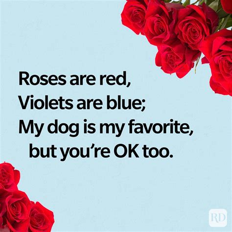 naughty roses are red poems|15 of the Funniest and Most Romantic ‘Roses Are Red’ .